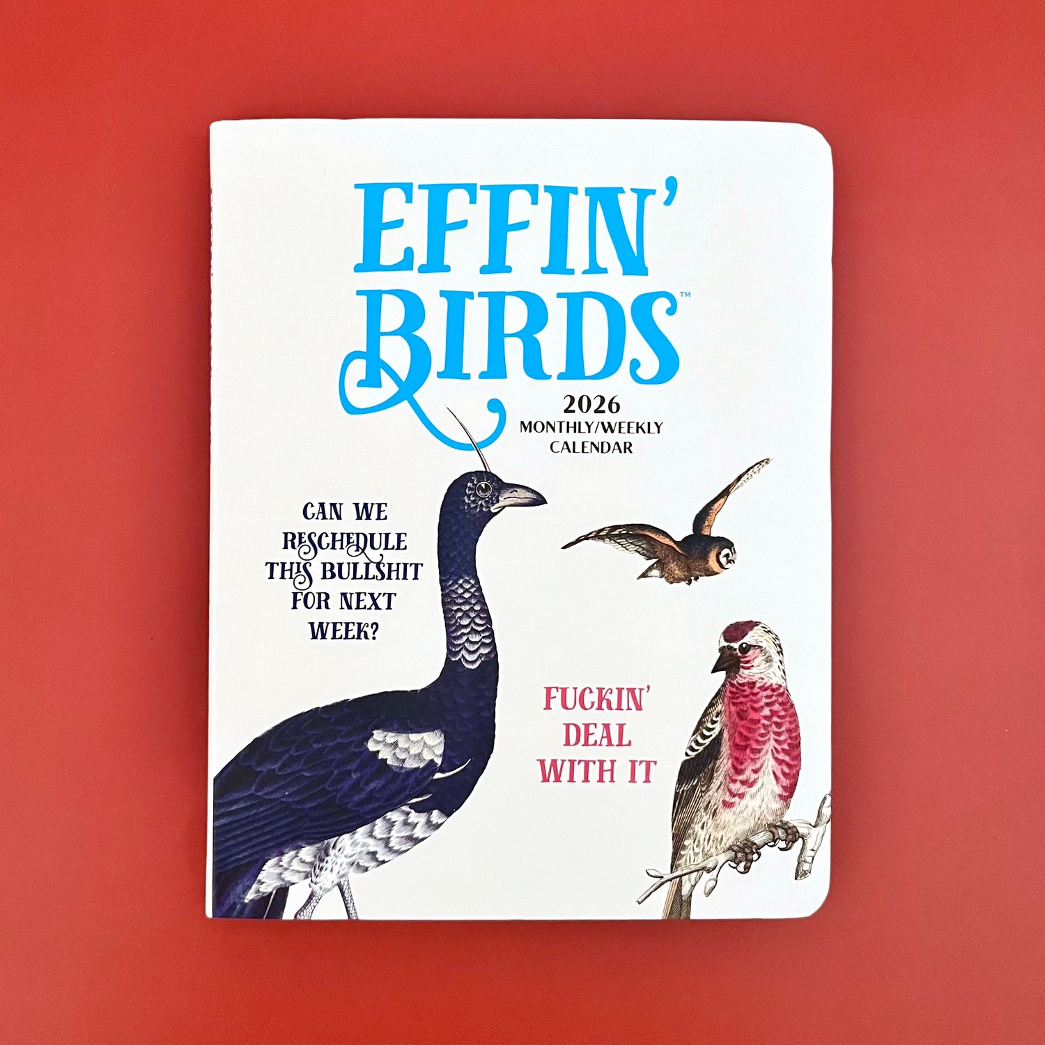 EFFIN&#39; BIRDS 12-MONTH 2026 MONTHLY/WEEKLY PLANNER