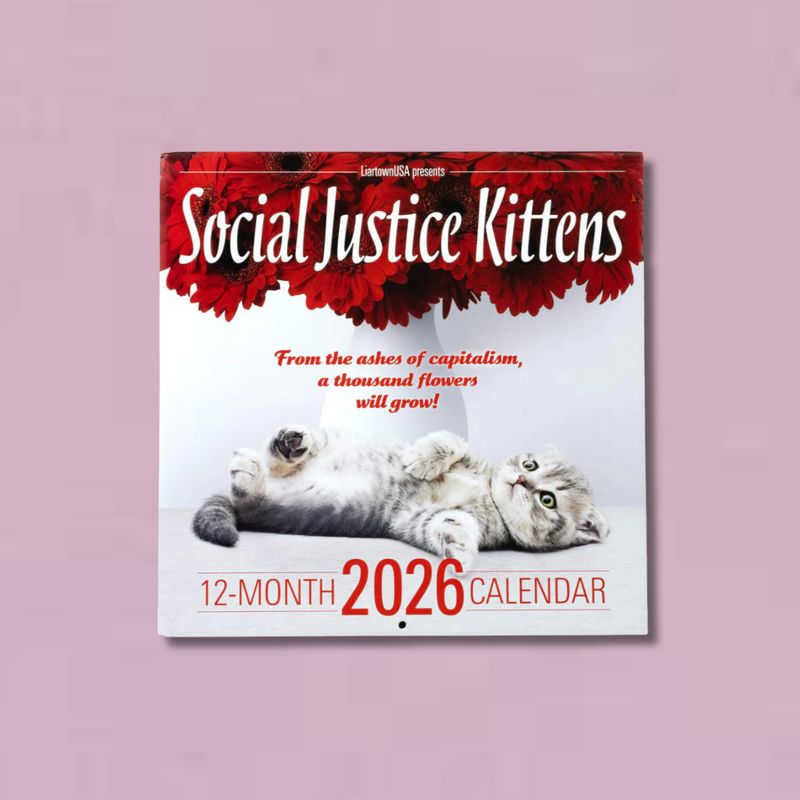 2026 Social Justice Kittens Wall Calendar