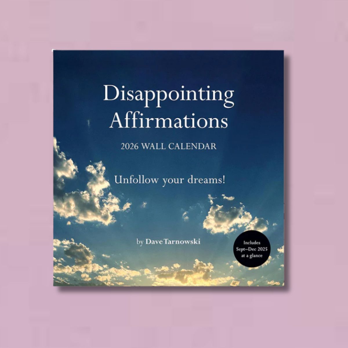 Disappointing Affirmations 2026 Wall Calendar