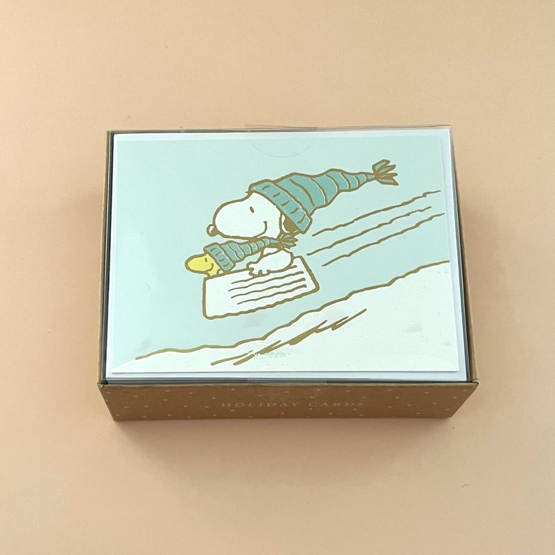 Peanuts Sledding Light Blue Mid-Sized Holiday Boxed Card