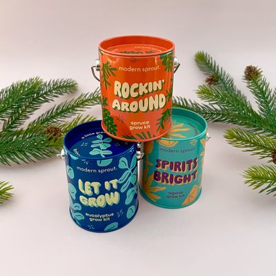 Holiday Complimentary Colors Growing Kits