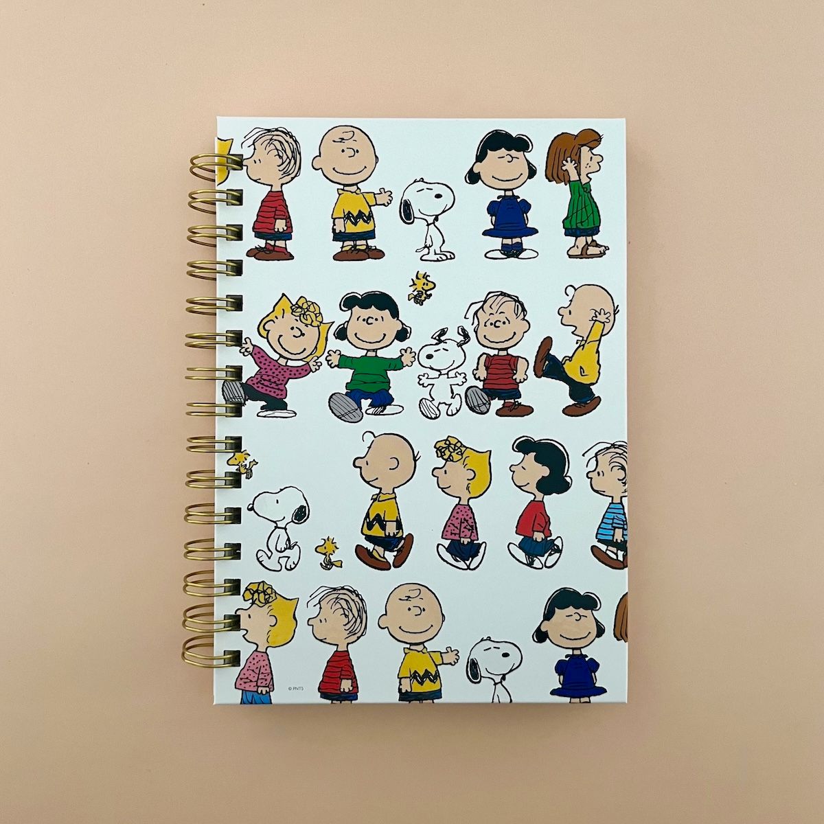 Peanuts Gang 6 x 8 Spiral Hard Cover Journal