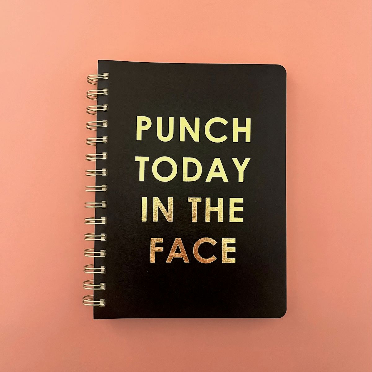 Punch Today 6 x 8 Spiral Vegan Leather Journal