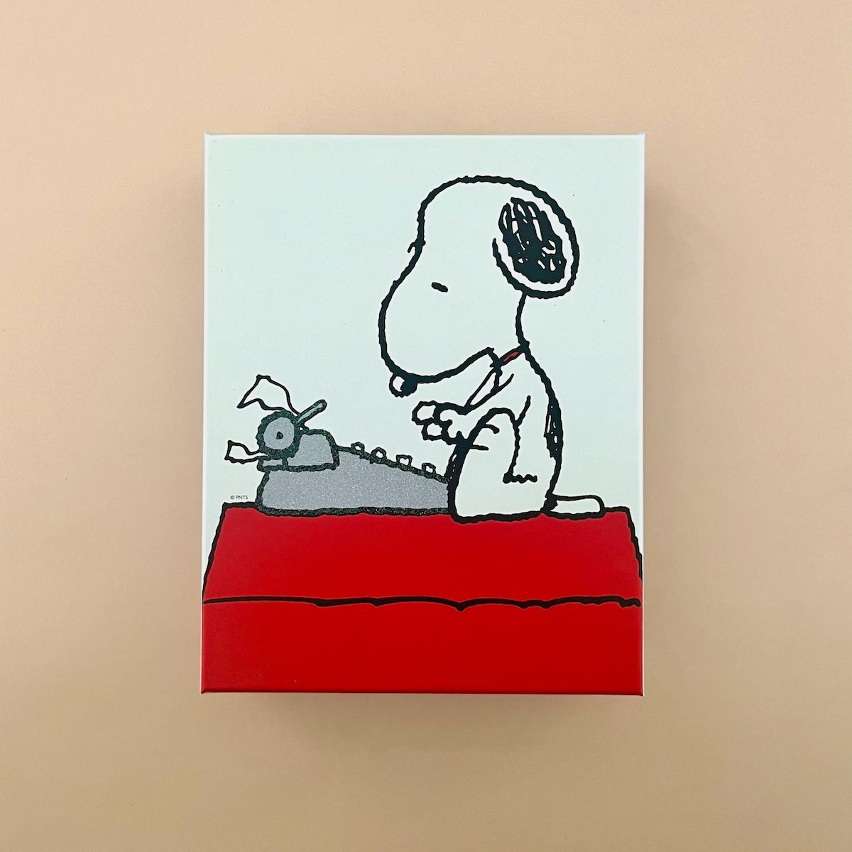 Peanuts Assorted Boxed Card