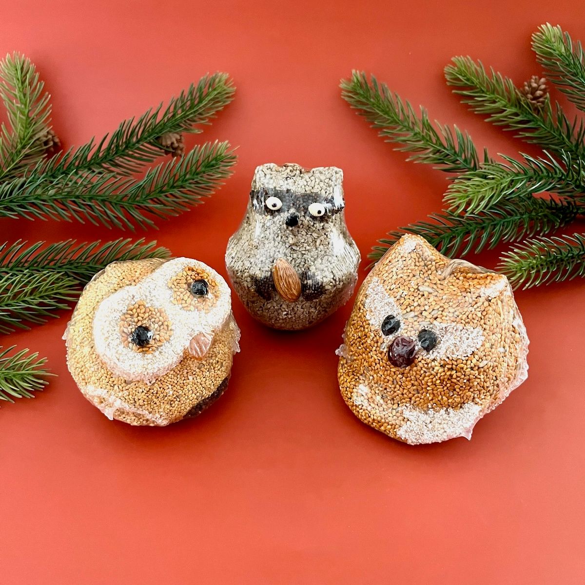 Woodland Birdseed Ornaments