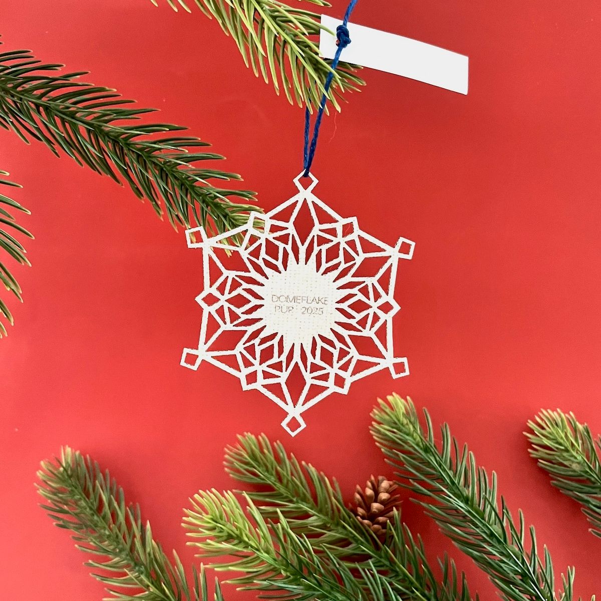 2025 RCA Dome Flake by PUP