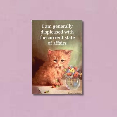 Magnet: I Am Generally Displeased with the Current State
