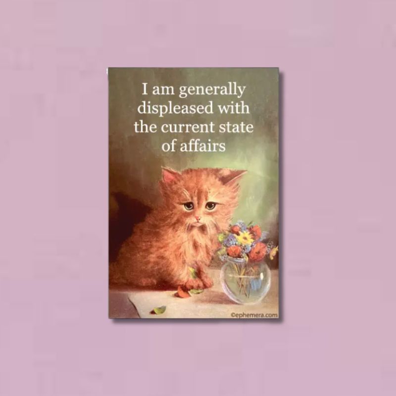 Magnet: I Am Generally Displeased with the Current State