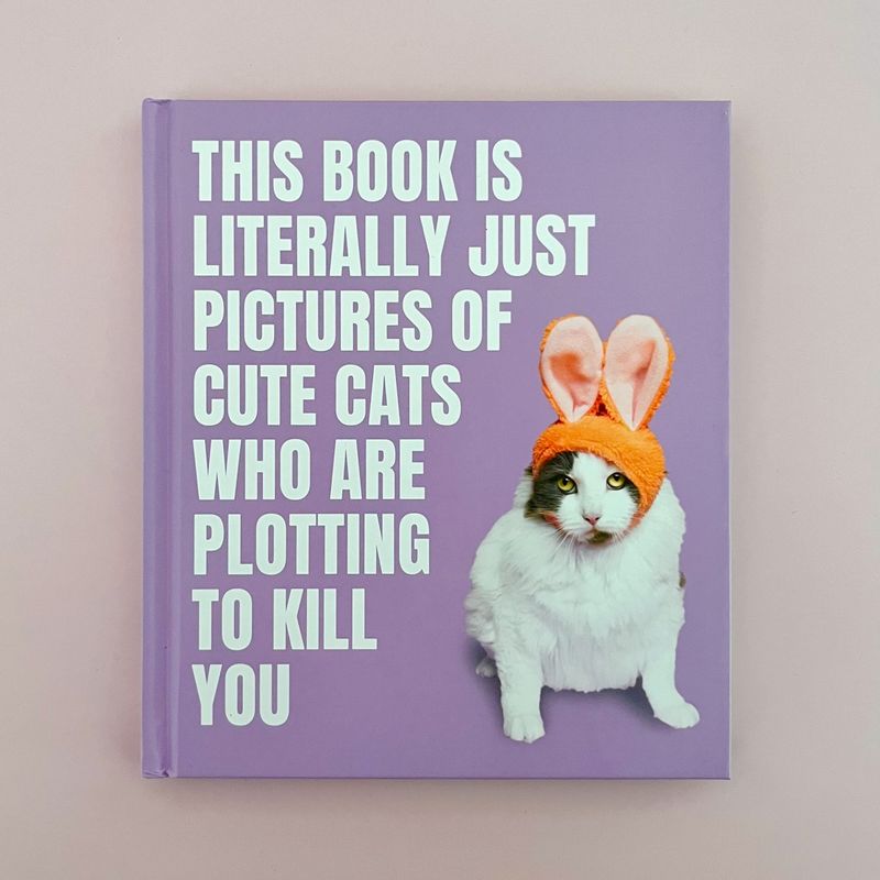 This Book Is Literally Just Pictures of Cute Cats Who Are Plotting to Kill You