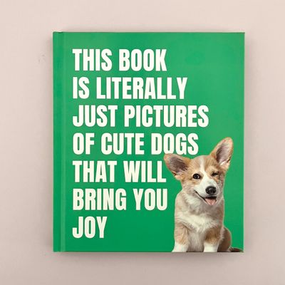 This Book Is Literally Just Pictures of Cute Dogs That Will Bring You Joy
