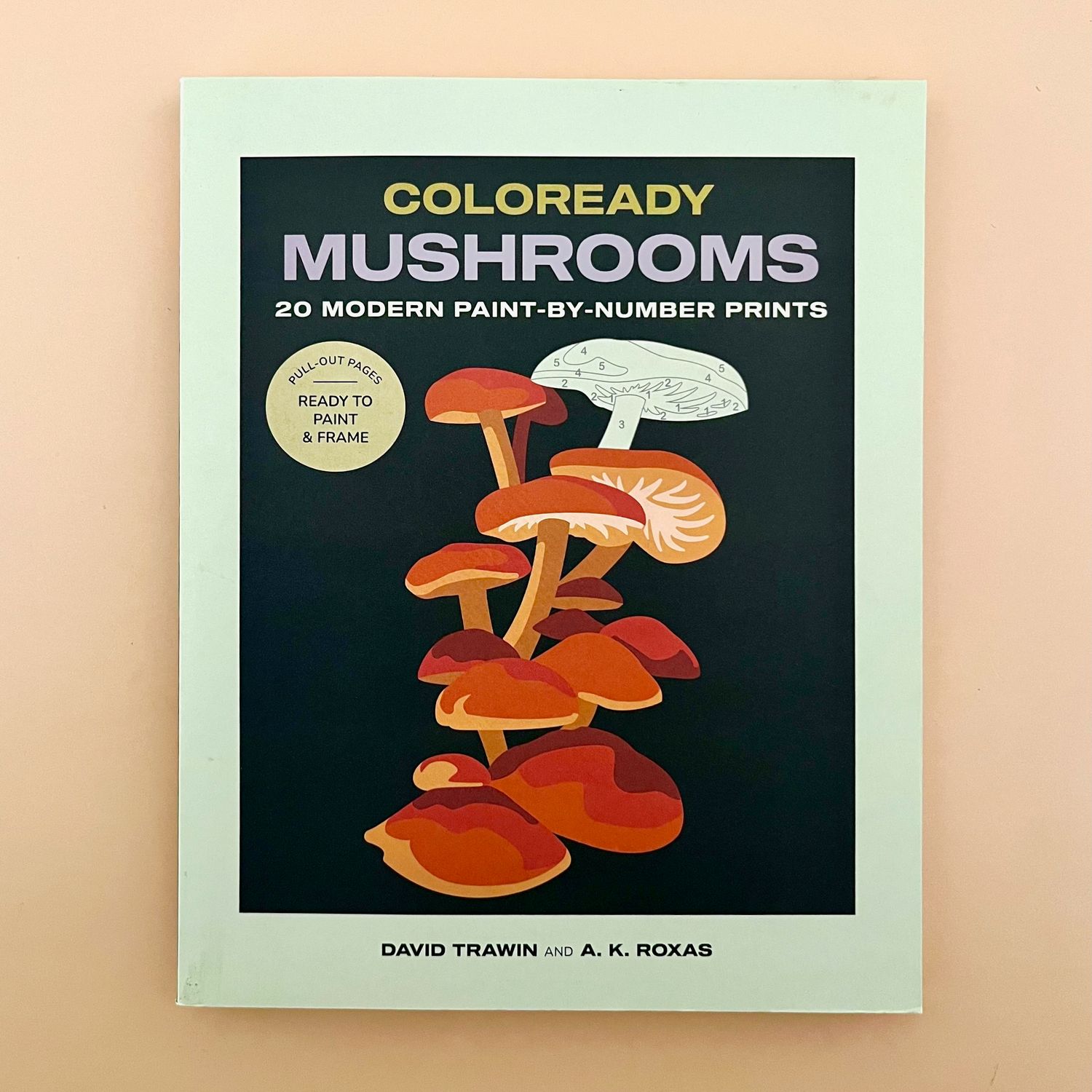 Coloready Mushrooms: 20 Modern Paint-by-Number Prints