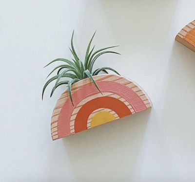Magnet Rainbow Air Plant Holder