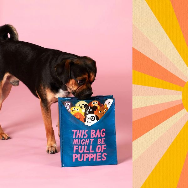 This Bag Might Be Full Of Puppies Handy Tote