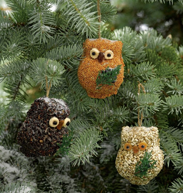 Ollie the Owl Birdseed Treat