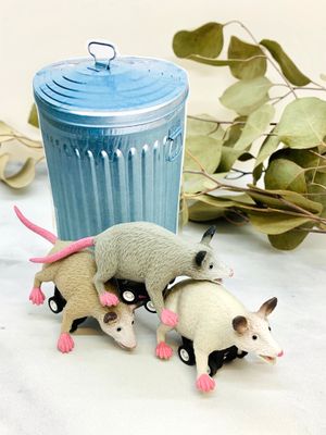 Racing Possum