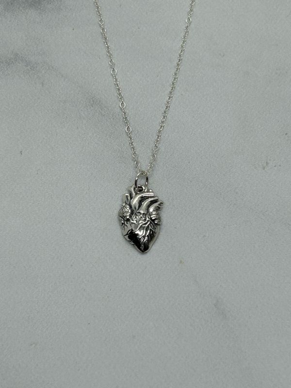 Silver Anatomical Heart Necklace, 18"