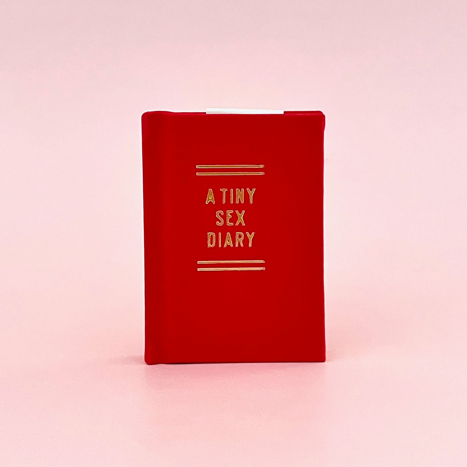 A Tiny Sex Diary