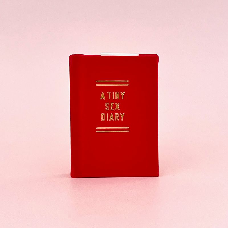 A Tiny Sex Diary