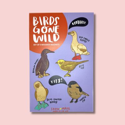 Birds Gone Wild Magnet Set