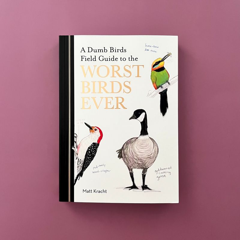Field Guide to The Worst Birds Ever