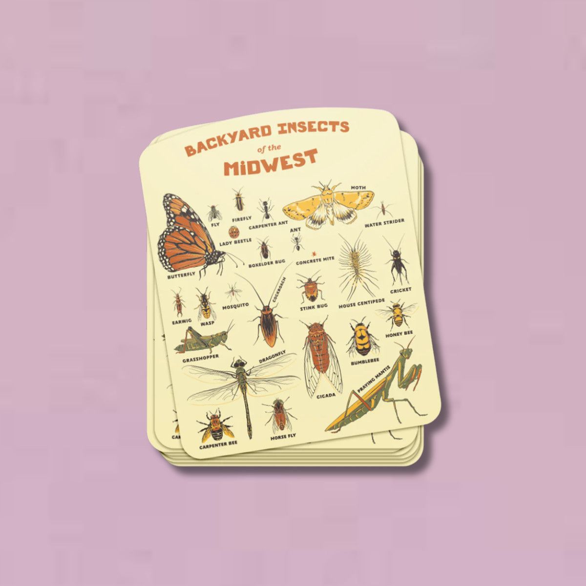 Backyard Insect of the Midwest Sticker