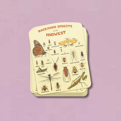 Backyard Insect of the Midwest Sticker