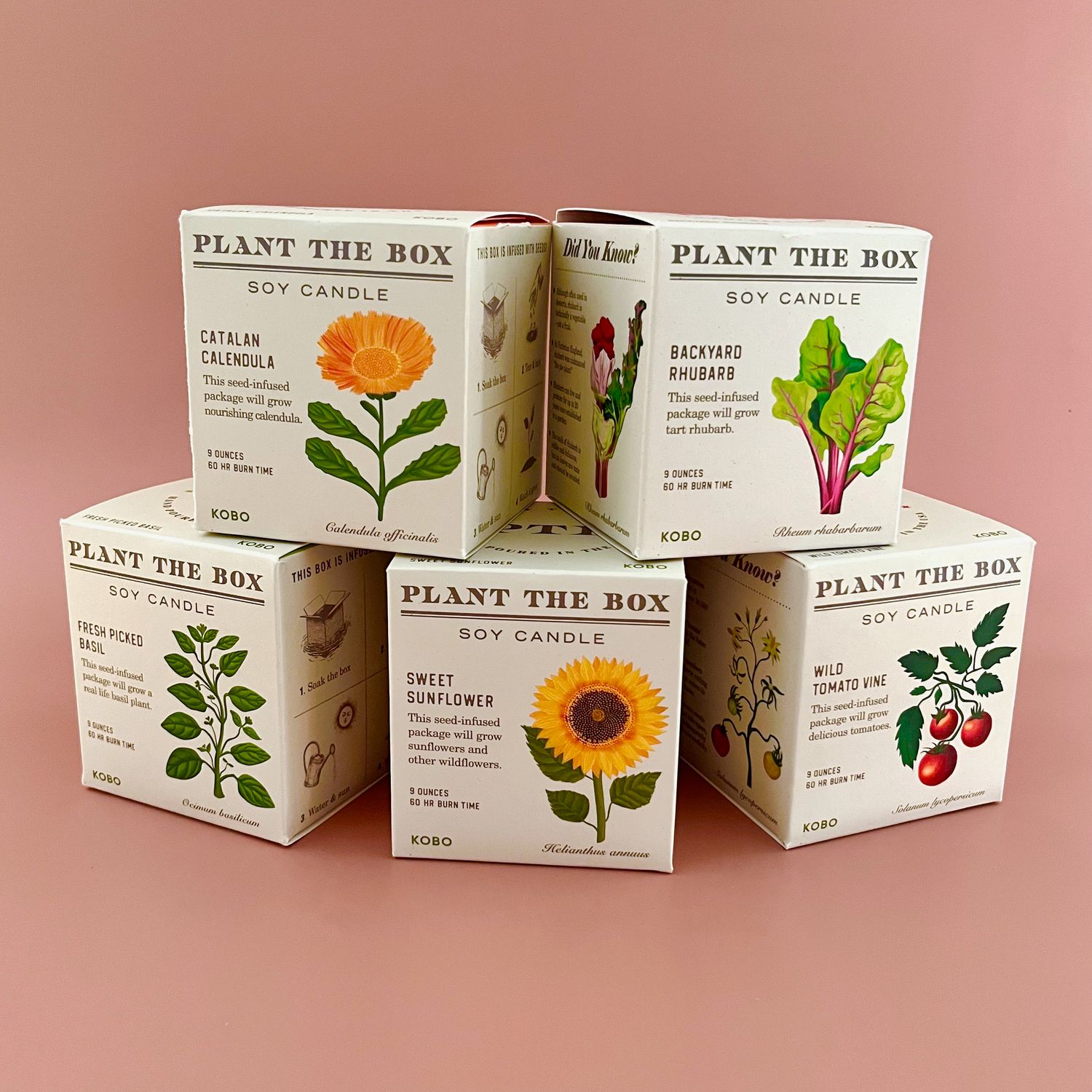 Plant the Box 9oz Candle