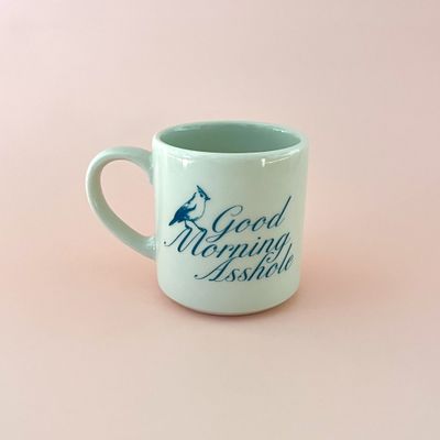 Good Morning Asshole 10oz Mug