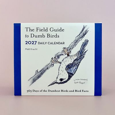 Field Guide to Dumb Birds 2027 Daily Calendar