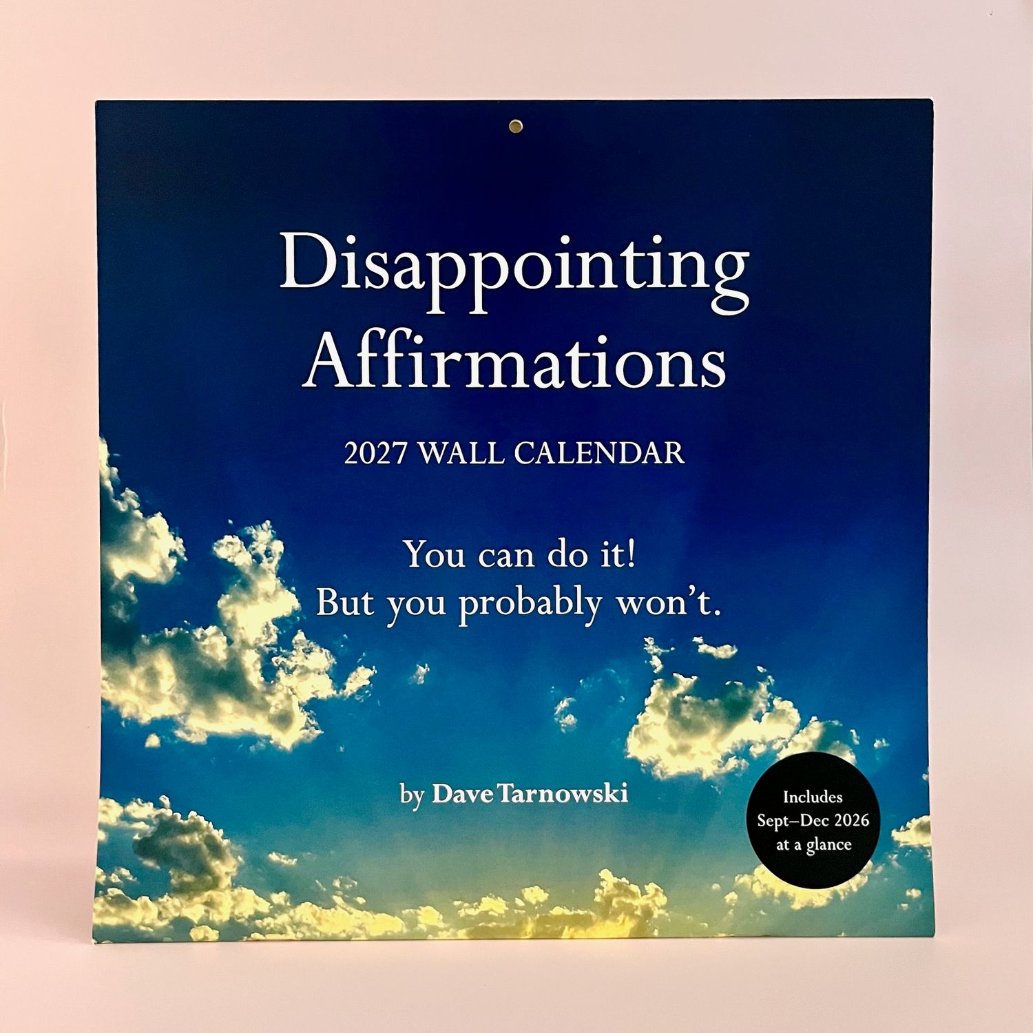 Disappointing Affirmations 2027 Wall Calendar