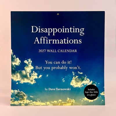 Disappointing Affirmations 2027 Wall Calendar