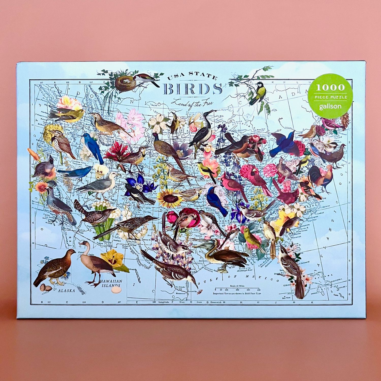 Wendy Gold State Birds 1000 Piece Puzzle