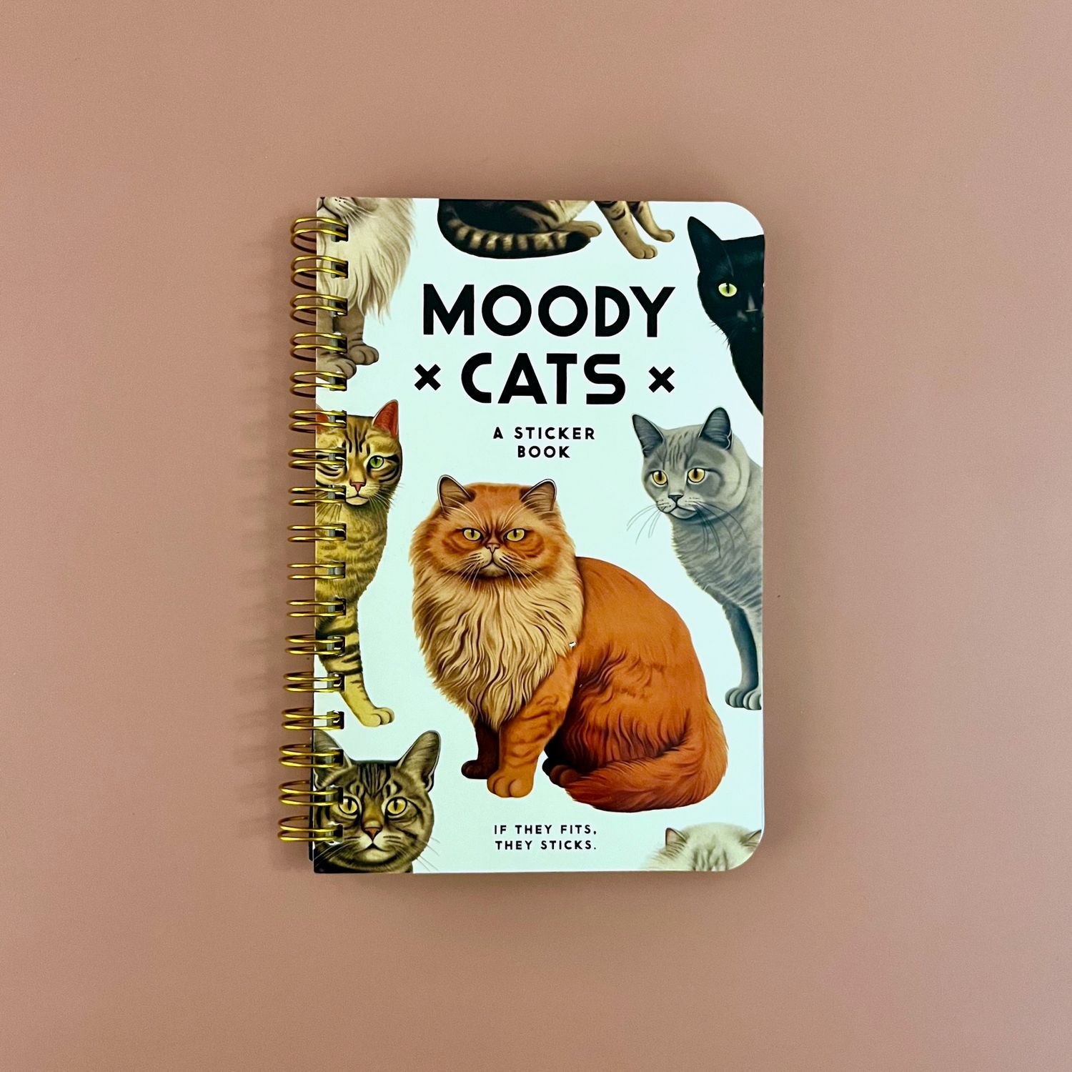 Moody Cats Sticker Book