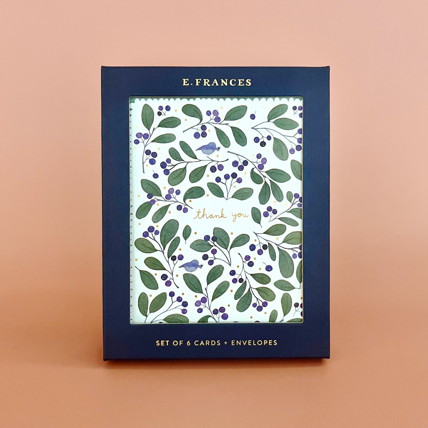 Chirps and Cheers Thank You Boxed Card Set/6