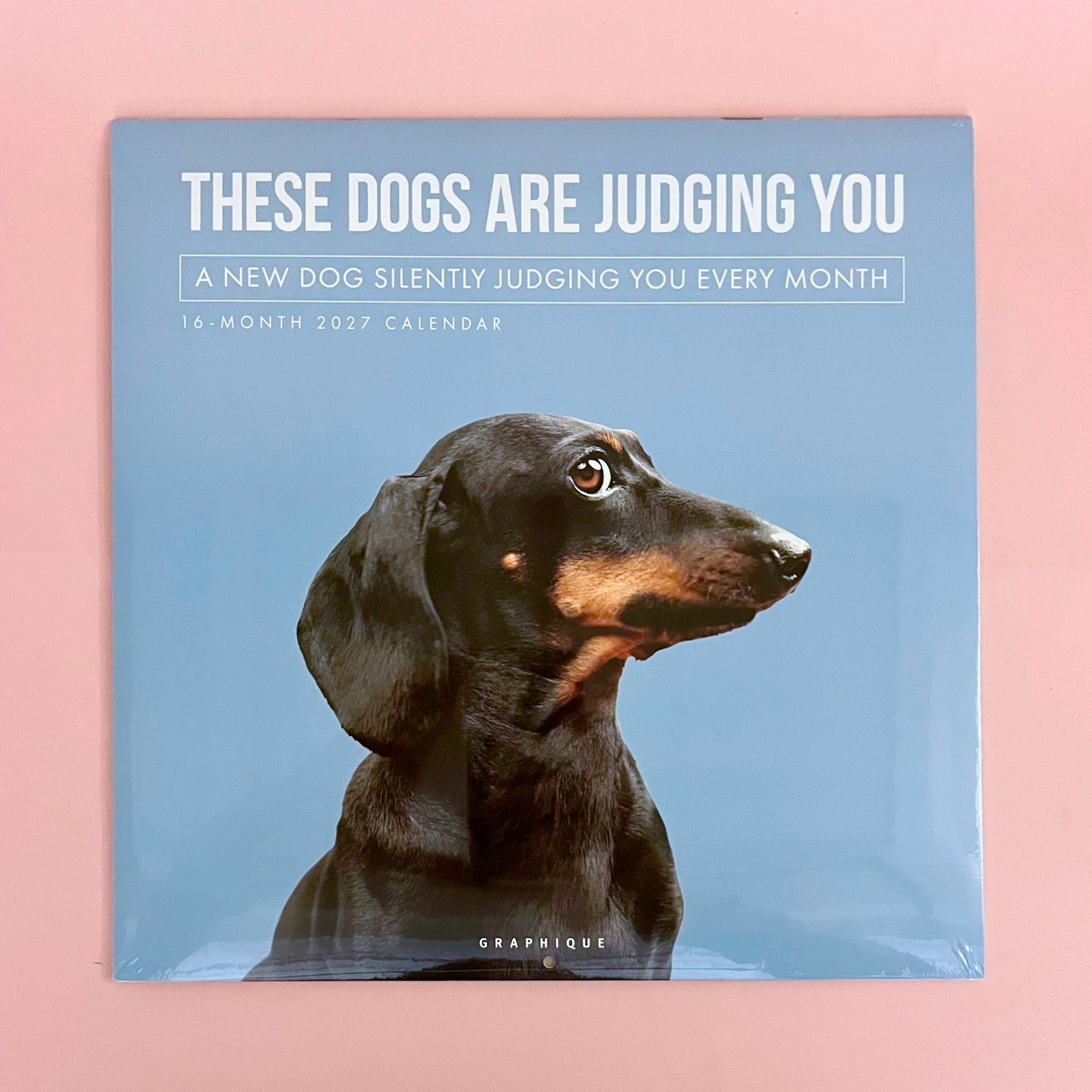 Judgmental Dogs 2027 Wall Calendar