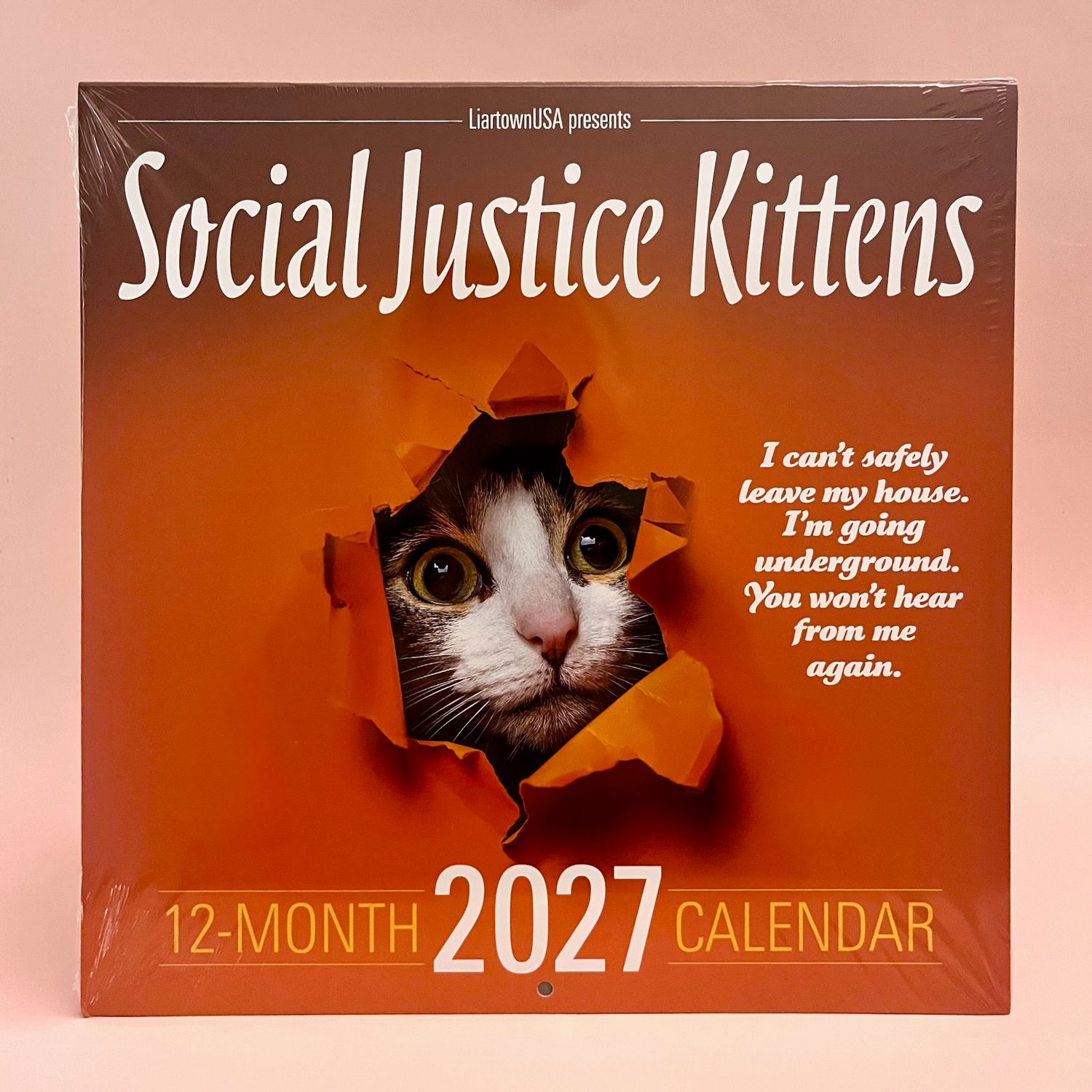 2027 Social Justice Kittens Wall Calendar