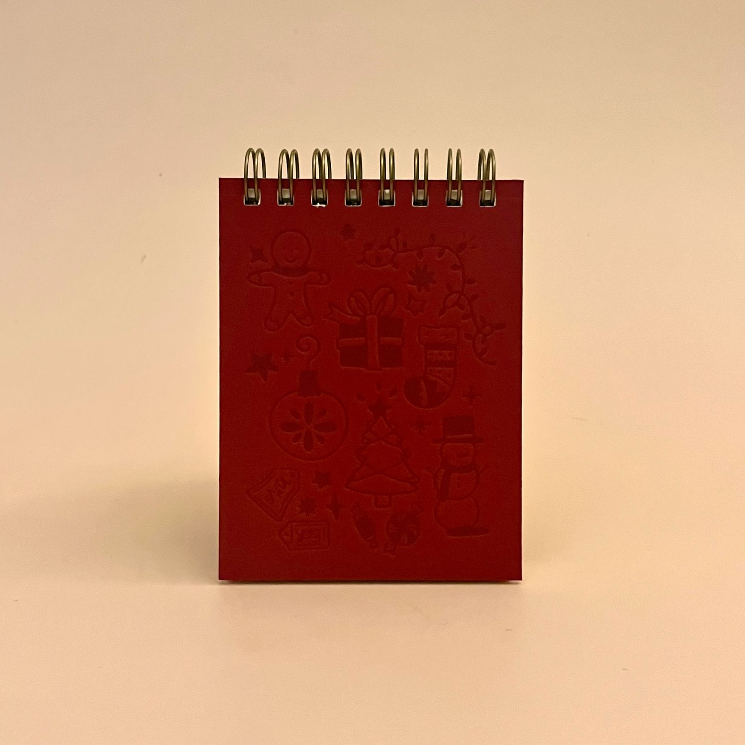 Mini Jotter Notebook Christmas Doodle