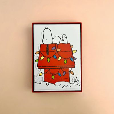 Peanuts Holiday s/15 Boxed Cards