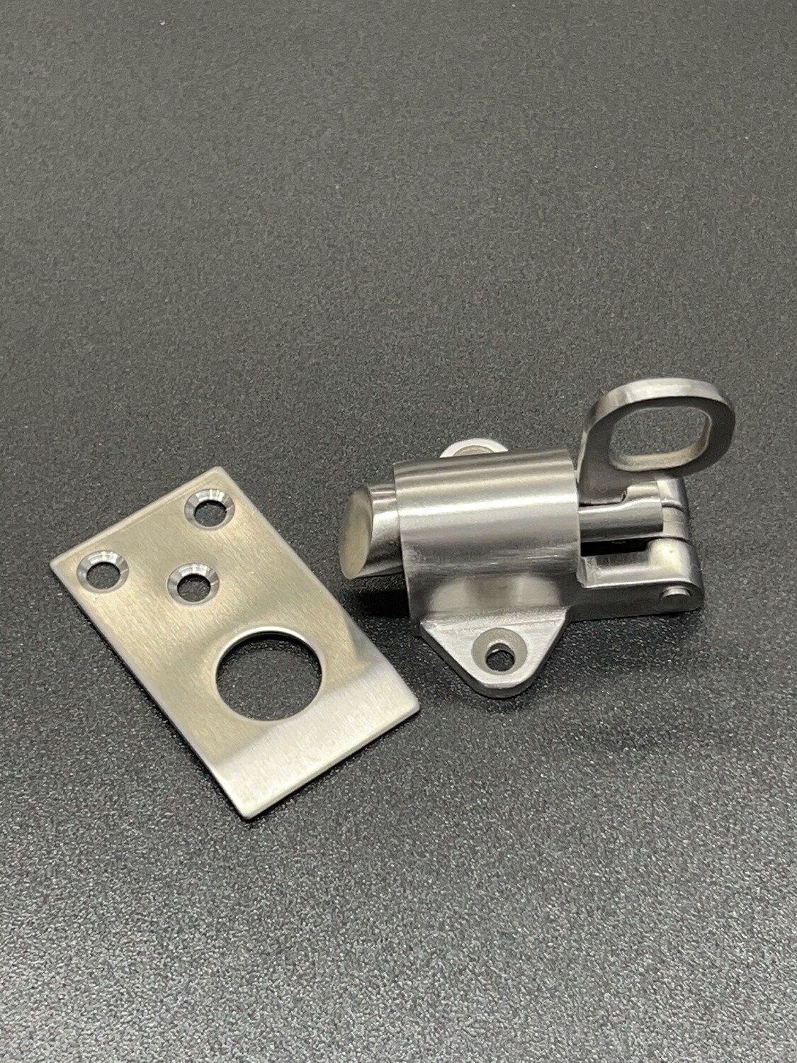 Stainless Barrel Spring Latch, Tongue: UP