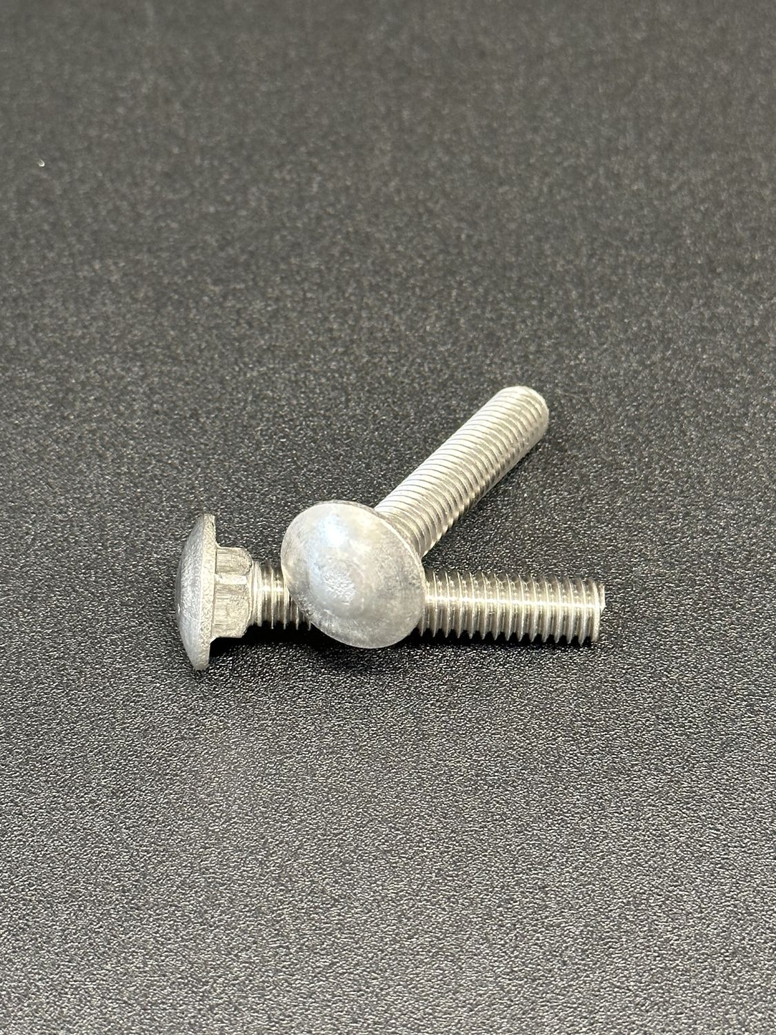 Stainless Carriage Bolts