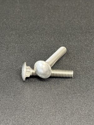 Stainless Carriage Bolts