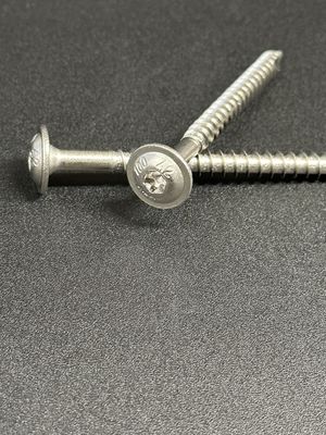 (304 Stainless) Timber Screws
