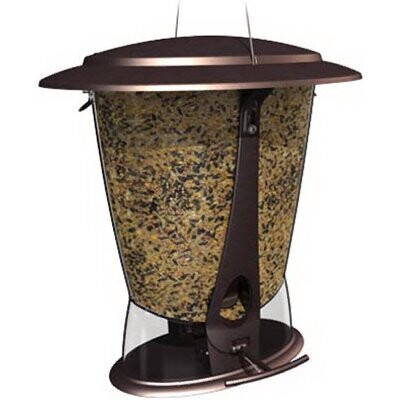 X Squirrel Bird Feeder