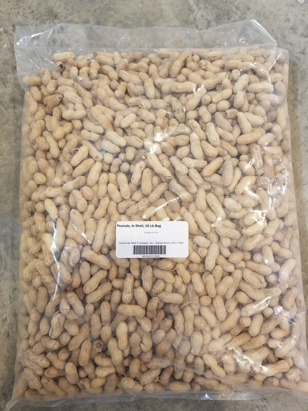 Peanuts in Shell 10lbs 4.53kg
