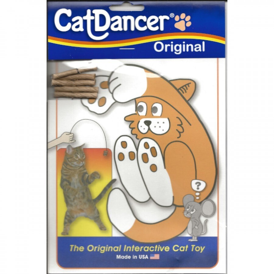 Cat Dancer