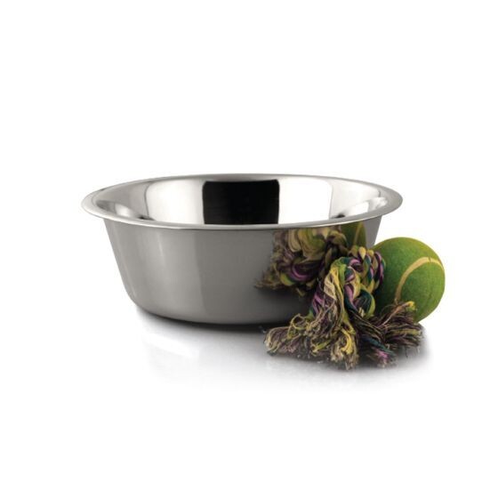 Maslow Stainless Steel Bowl 2 Cup Dog 16oz