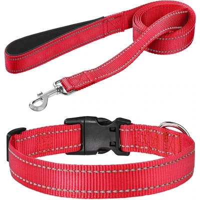 COLLAR & LEASH