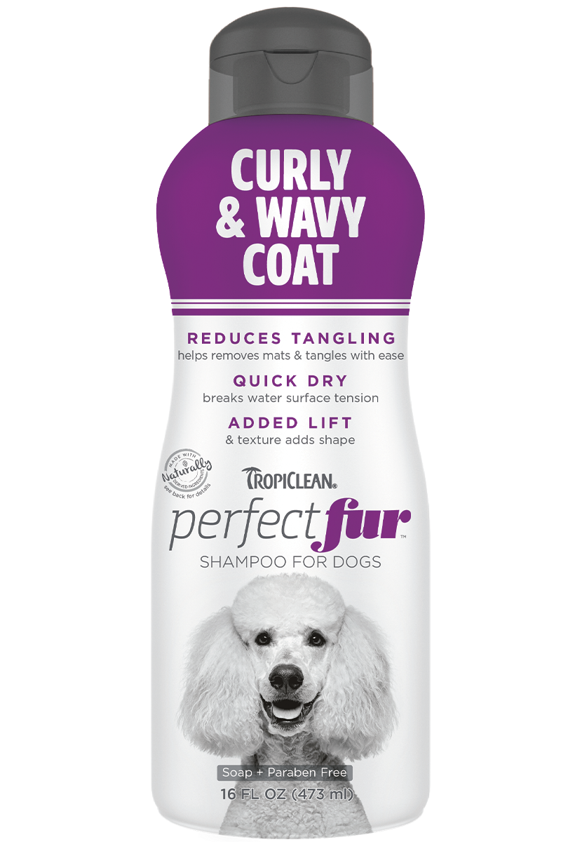 TropiClean Curly & Wavy Coat Shampoo For Dogs 473ml