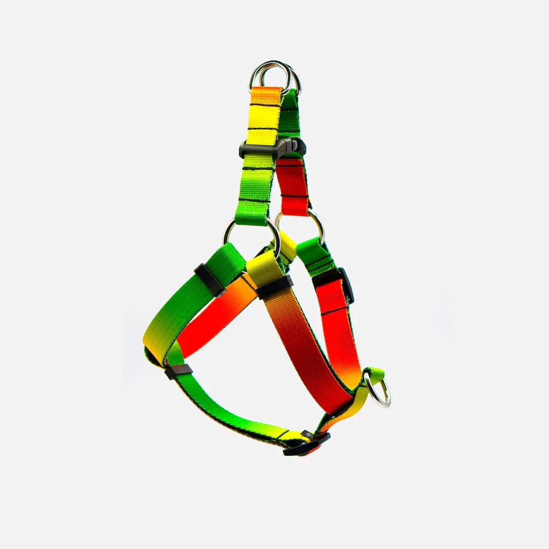 Woof Concept Step In Harness Baked Too Small