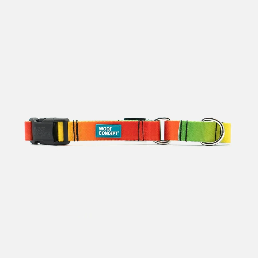 Woof Concept Baked Too Collar Martingale Large
